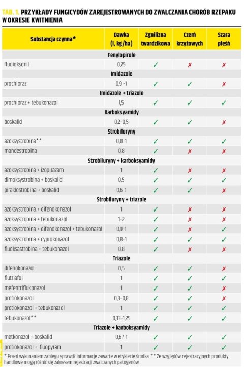 treso skutecznosc.jpg