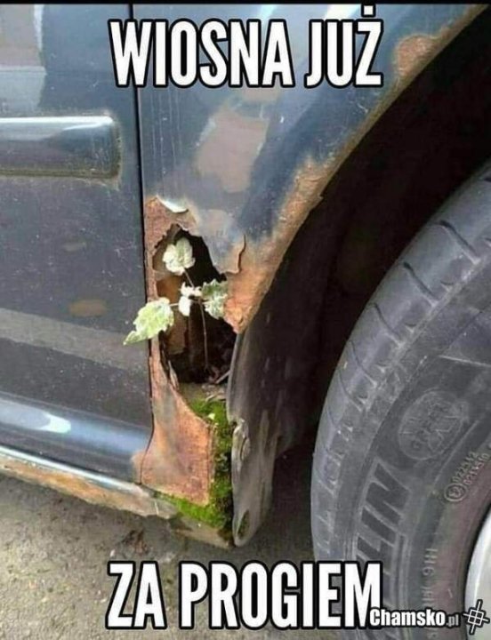 obrazkowo.pl 2023-03-25 16-11-31.jpg