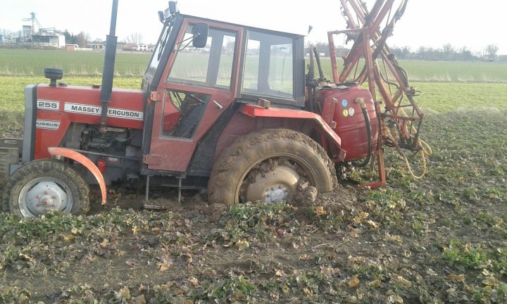 336195026_231259752808251_8373367463104218509_n (1).jpg