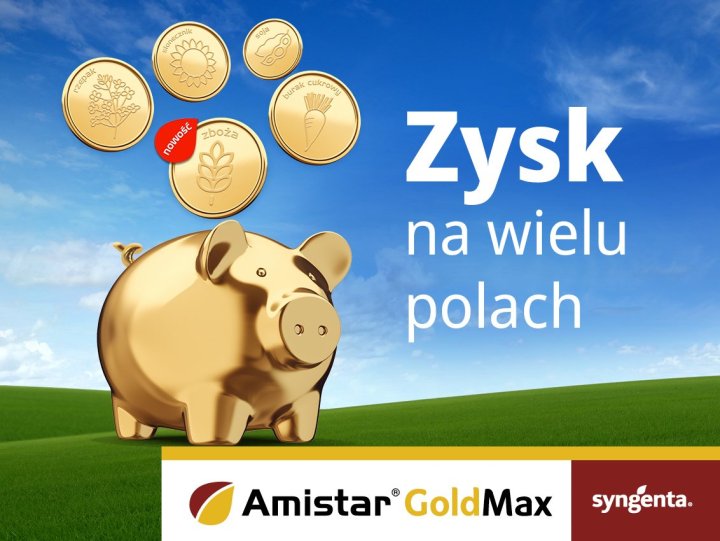 Amistar Gold Max_Syngenta_baner_2.jpg