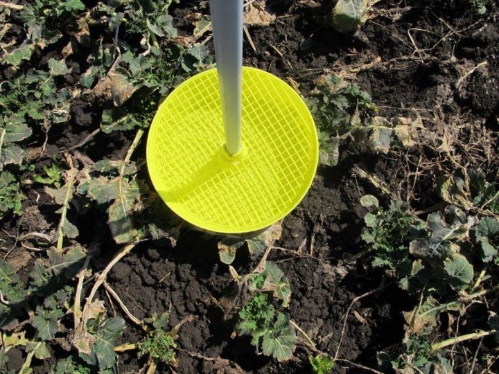 1.  W SDOO RADOSTOWO KOŁO TCZEWA WYŁOŻONE ŻÓŁTE NACZYNIA.jpg