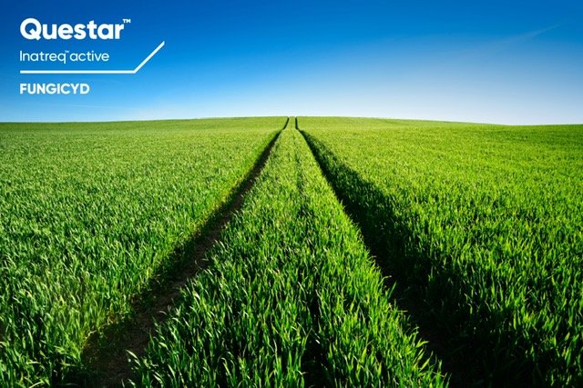 Questar-nowosc-od-Corteva (1).jpg