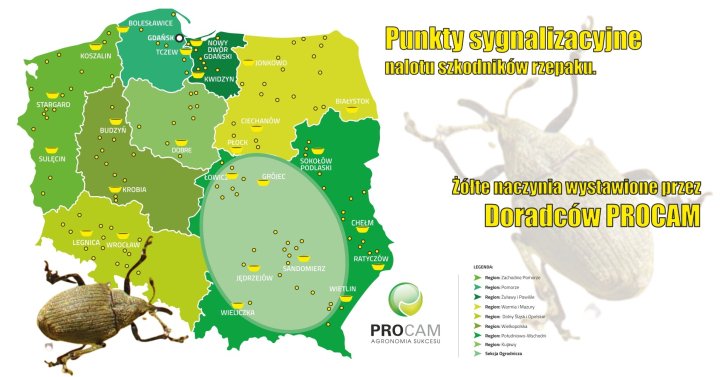 baner_zolte_naczynia_sygnalizacja_PROCAM 2023.jpg