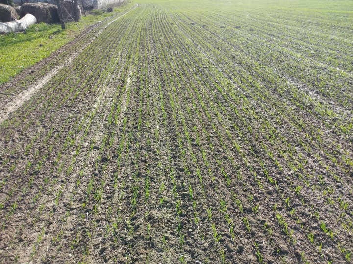 IMG_20230415_153332 (1).jpg