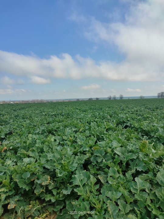 IMG20230411110523 (1).jpg