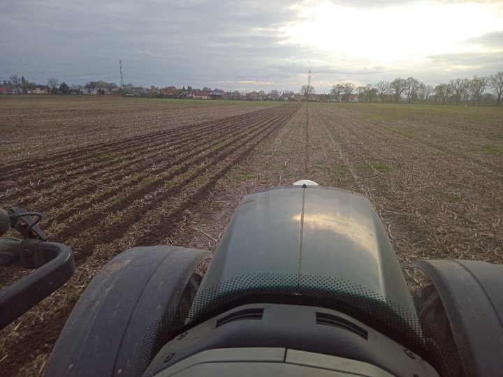 IMG_20230425_185554_778 (1).jpg