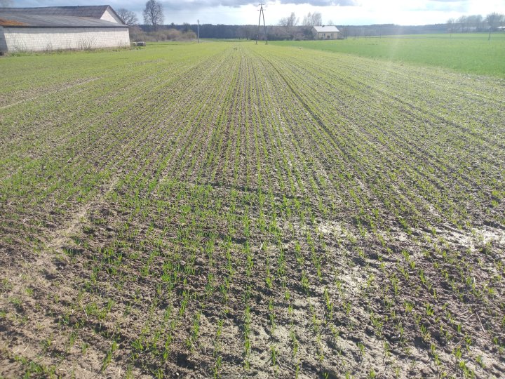 IMG_20230415_153252 (1).jpg