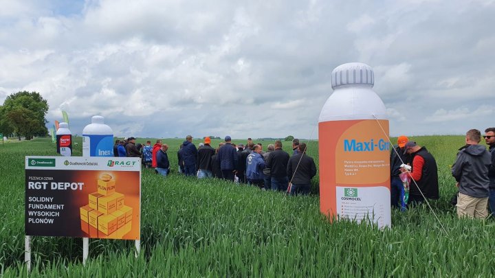 ZielonePola-2023-MaxiGrow-energia-dla-upraw.jpg