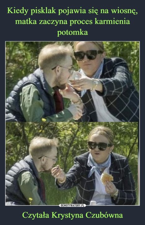001-kiedy-pisklak-pojawia-sie-na-wiosne-matka-zaczyna-proces.jpg