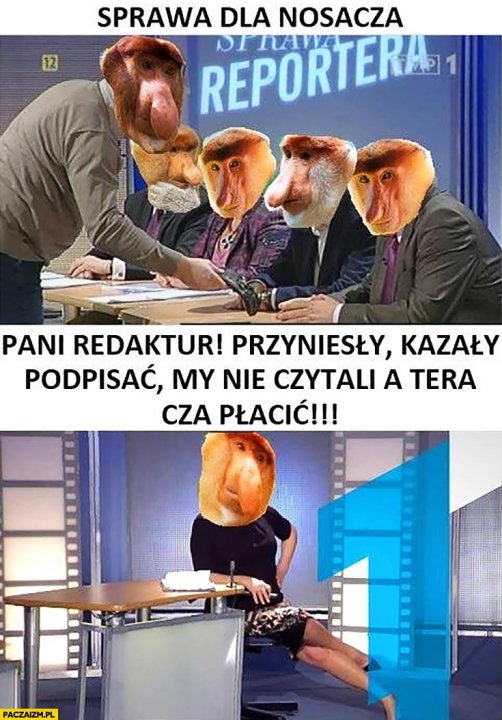sprawa-dla-reportera-nosacza-pani-redaktor-przyniesli-kazali-podpisac-nie-czytalismy-a-teraz-trzeba-placic-typowy-polak-nosacz-malpa.jpg