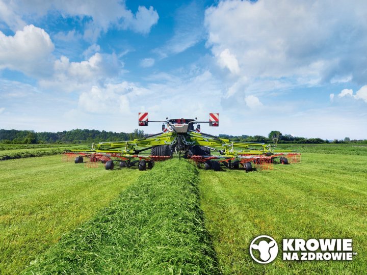 Susza i sytuacja po 1 pokosie, czyli jak zakiszac lucerne i trawy_Krowie na Zdrowie.jpg