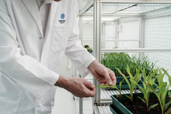 Growth Chamber study (2).jpg