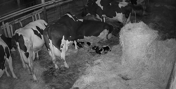 20230617090410 (2).jpg