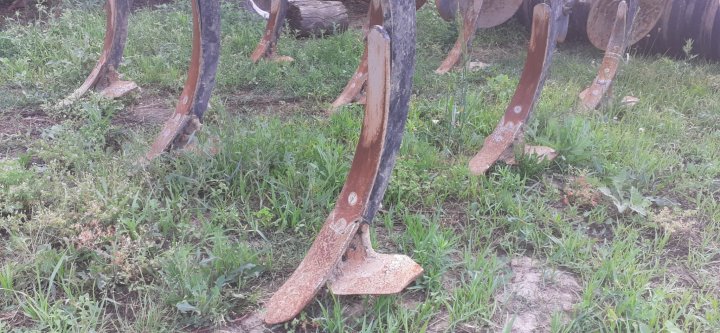 WhatsApp Image 2023-07-03 at 19.20.05.jpeg