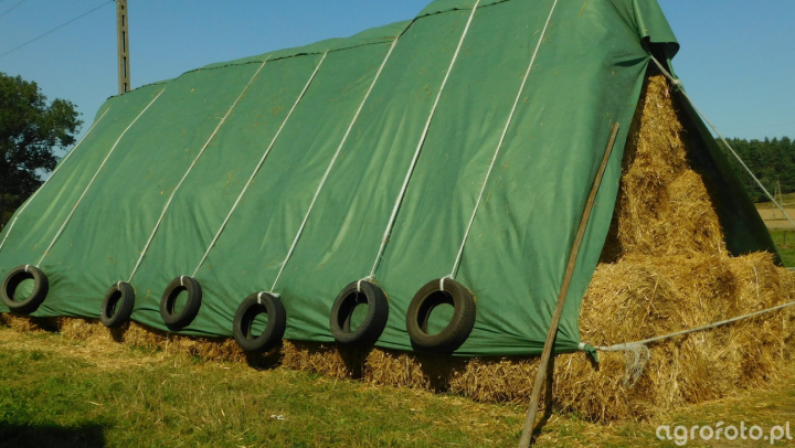 Screenshot 2023-07-31 at 10-33-39 sloma_l_ee70295fa6c3b4098030f047321ae056.JPG (obraz JPEG 1600×900 pikseli) — Skala (80%).png