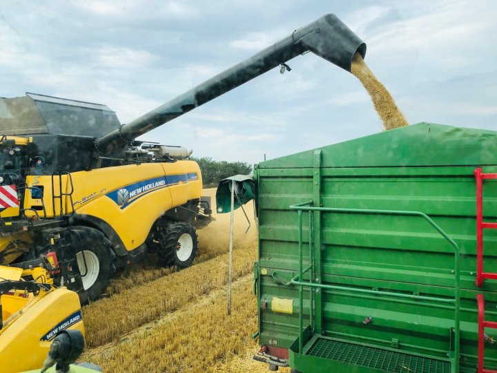 Rekord wysypywanie.jpg