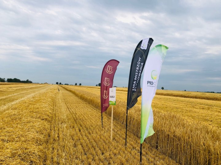 Rekord Polski Jęczmień Valhalla.jpg