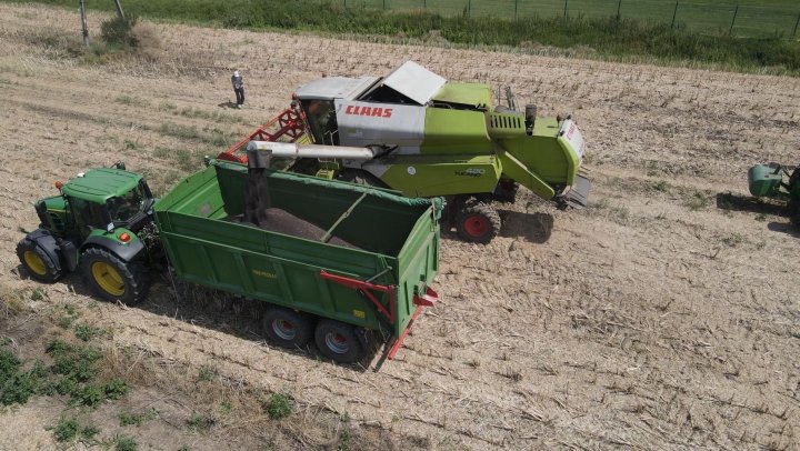 Rekord Polski Rzepak Bystrze 8.JPG