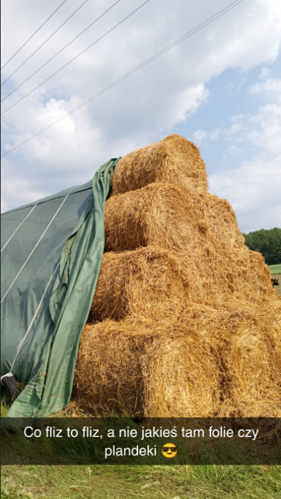 Screenshot 2023-08-30 at 08-42-24 Snapchat-1573133326.jpg.1aee61c9a1fcb16da191ca440b566bdb.jpg (obraz JPEG 810×1440 pikseli) — Skala (50%).png