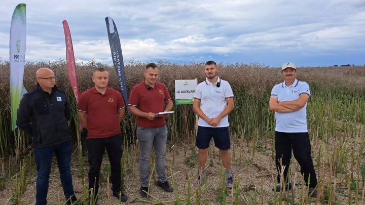 Brzóstowa Rekord Polski.jpg