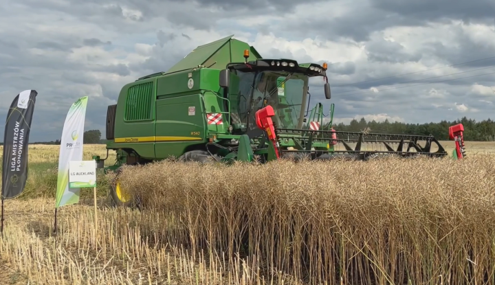 Mieczysławowo rekord Polski Auckland 6 621 kg ha.png