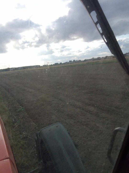 364665623_777698734355860_1665765796184688338_n (1).jpg