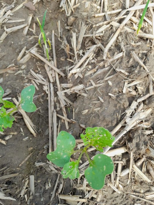 IMG-20220912-WA0001 (1).jpg