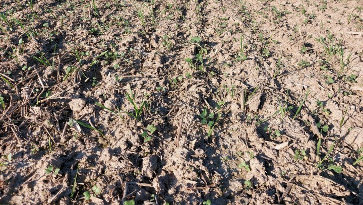 20210905_171417 (1).jpg