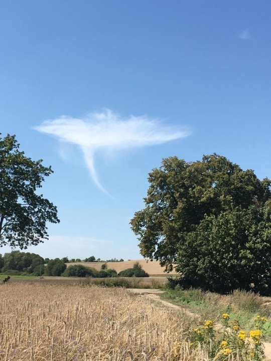 Zdjęcie WhatsApp 2023-08-12 o 13.13.55.jpg