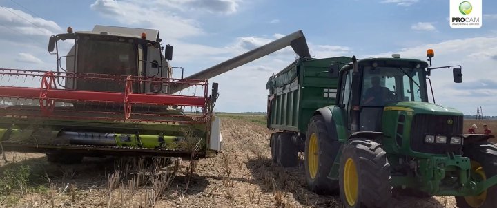 Rekord Polski Rzepak Bystrze 6.JPG