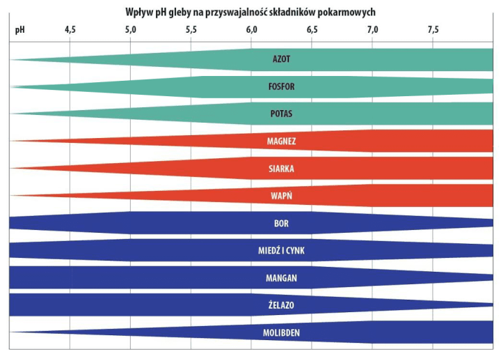Wplyw-pH-gleby-na-przysw.-skl.-pok..png