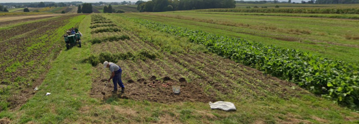 Zrzut ekranu 2023-09-02 205119.png