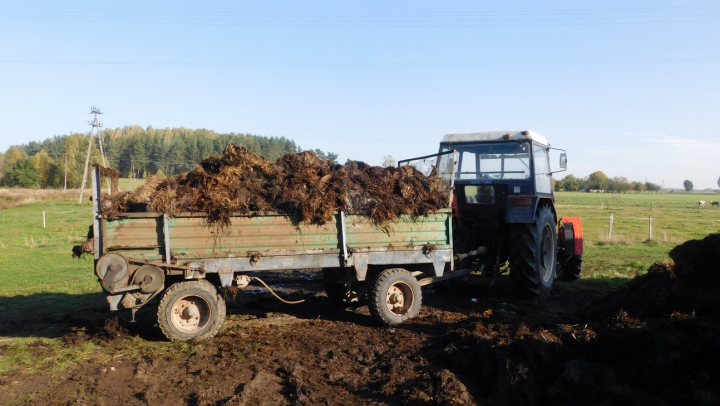 Screenshot 2023-09-19 at 20-30-03 DSCN1200.JPG.4a04fccc09f7d1c9af6af4902145d484.JPG (obraz JPEG 2560×1440 pikseli) — Skala (50%).png