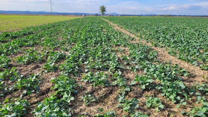 20231014_103106 (1).jpg