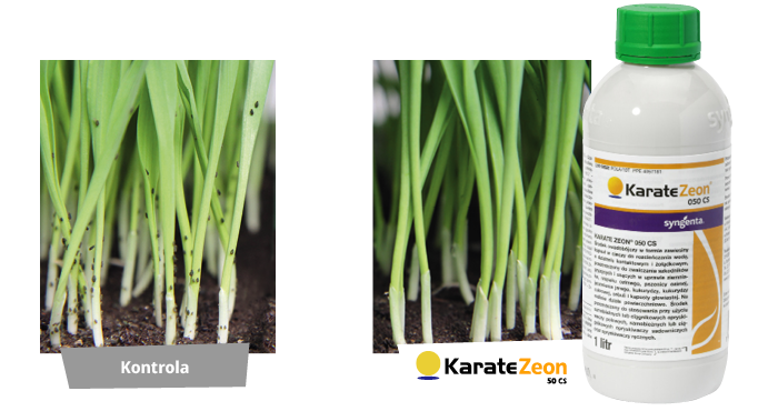 zdjęcie 2 z listu.png