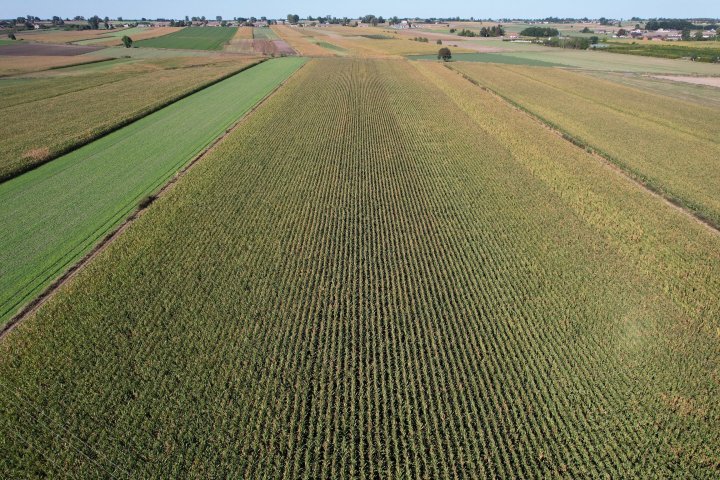 zdjęcie_Nowy Besk.jpg