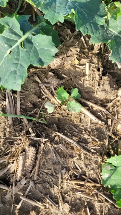 20231014_103054 (1).jpg