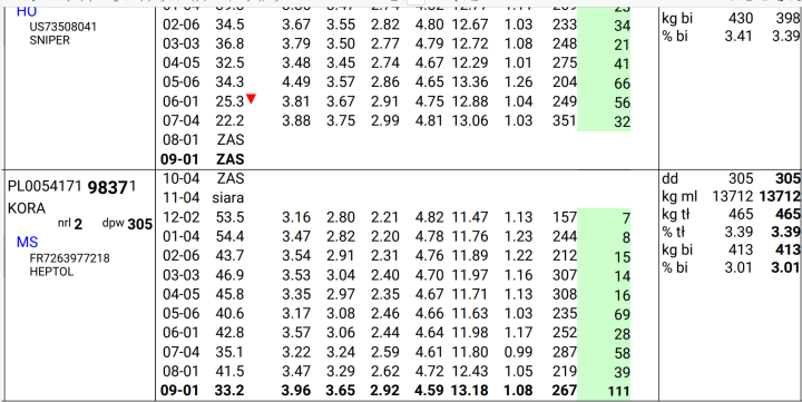 Bez tytułu (2).png