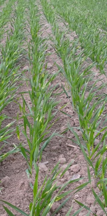 20231004_172841_resized (1).jpg