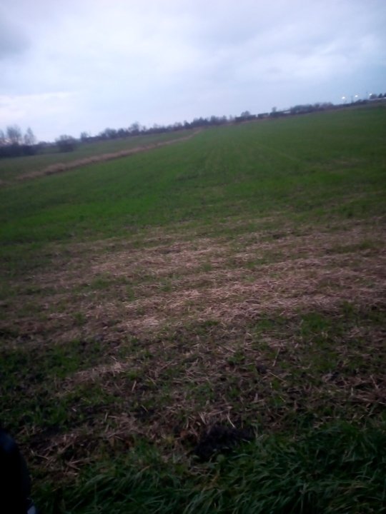 IMG_20231125_145444 — kopia.jpg