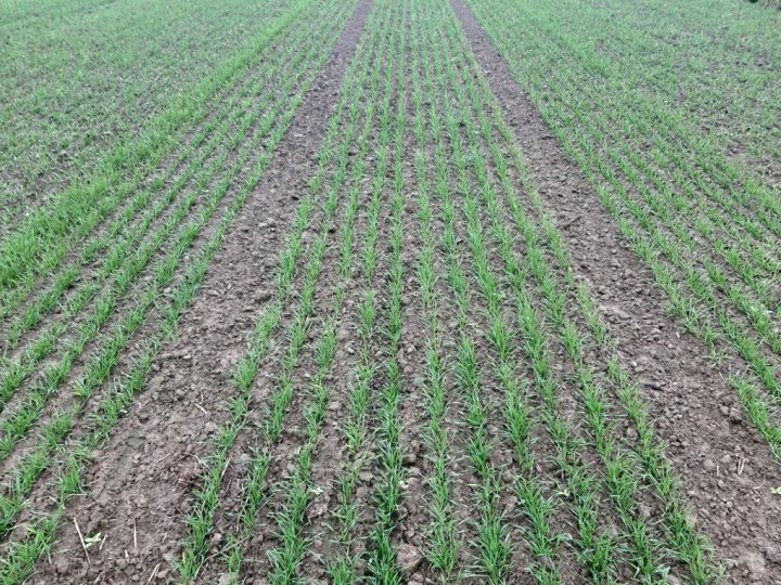 20231022_113639 (Copy).jpg