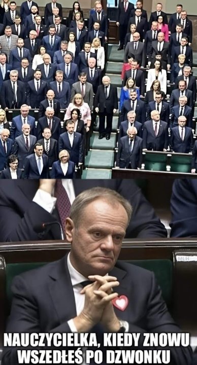 sejm7.jpg