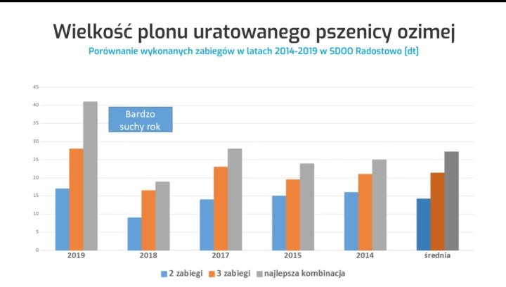 Pszenica - 2 czy 3 zabiegi fungicydowe.jpg