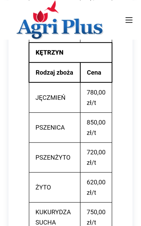 chrome_screenshot_11 gru 2023 17_51_26 CET.png