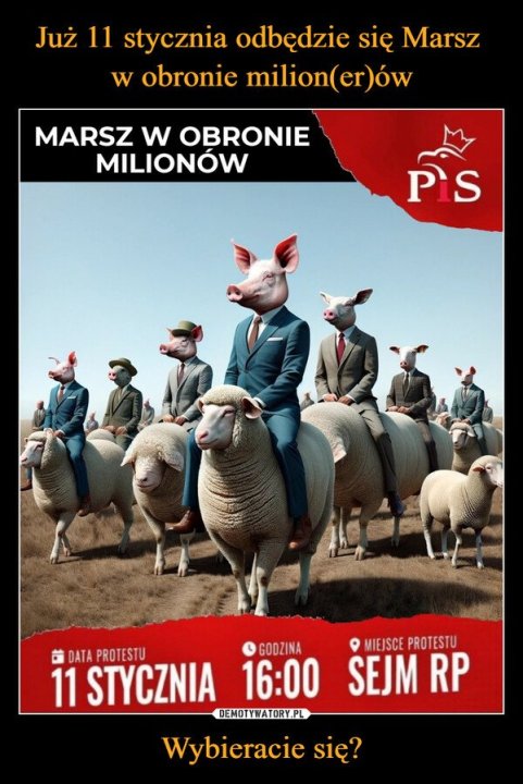 480-juz-11-stycznia-odbedzie-sie-marsz-w-obronie-milion_er_ow.jpg