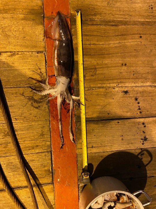 Zdjęcie WhatsApp 2024-01-27 o 22.22.53_a6c60ada.jpg