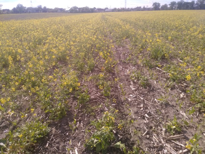 IMG_20210527_163220 (3).jpg