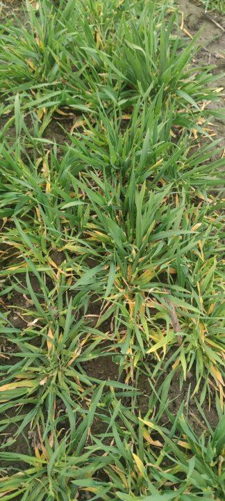 Zdjęcie WhatsApp 2024-03-22 o 15.48.01_b067092a.jpg