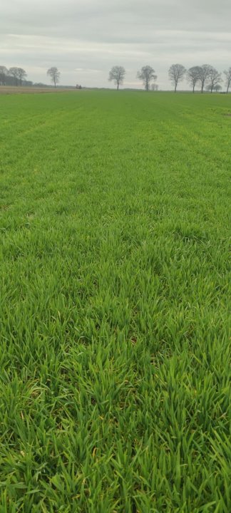 Zdjęcie WhatsApp 2024-03-22 o 15.48.02_904aa4a0.jpg