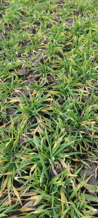 Zdjęcie WhatsApp 2024-03-05 o 20.34.36_2303d3b9.jpg